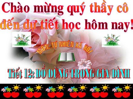 Bài giảng môn Tự nhiên và xã hội Lớp 2 - Tiết 12: Đồ dùng trong gia đình