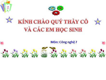 Bài giảng Công nghệ 7 - Bài 40: Sản xuất thức ăn vật nuôi