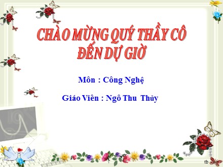 Bài giảng Công nghệ 8 - Bài 48: Sử dụng hợp lý điện năng