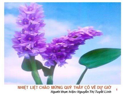 Bài giảng GDCD 7 - Bài 16: Quyền tự do tín ngưỡng và tôn giáo