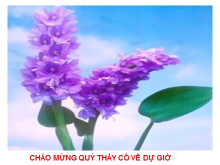 Bài giảng GDCD Lớp 7 - Bài 15: Bảo vệ di sản văn hóa