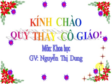 Bài giảng môn Khoa học Lớp 5 - Bài 19: Phòng tránh tai nạn giao thông đường bộ - Nguyễn Thị Dung