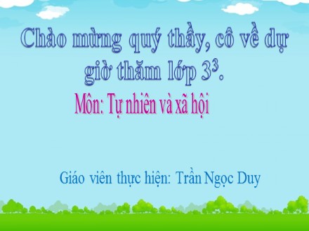 Bài giảng môn Tự nhiên và xã hội lớp 3 - Bài 52: Cá - Trần Ngọc Duy