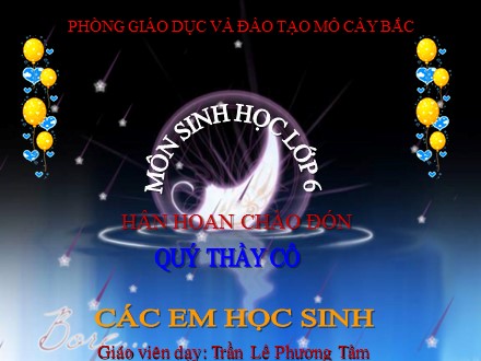 Bài giảng Sinh học 6 - Bài 34: Phát tán của quả và hạt