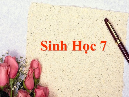 Bài giảng Sinh Học 7 - Chương 6: Ngành Động Vật Có Xương Sống