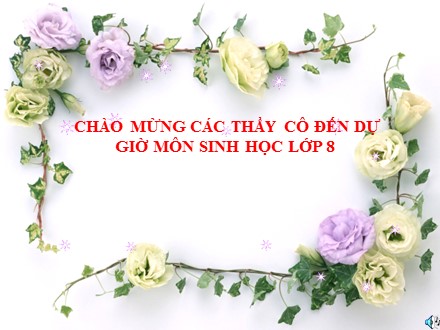 Bài giảng Sinh học 8 - Bài 11: Tiến hóa của hệ vận động vệ sinh hệ vận động