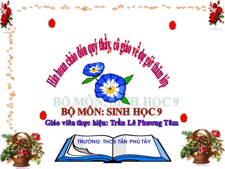 Bài giảng Sinh học 9 - Bài 50: Hệ sinh thái