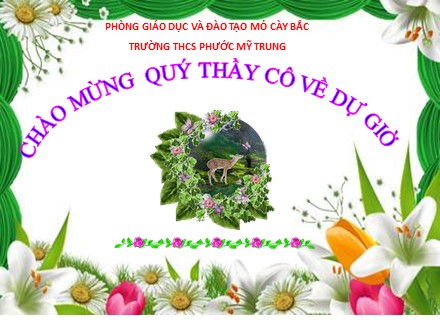 Bài giảng Tin học 9 - Bài 11: Tạo các hiệu ứng động