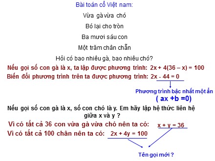 Bài giảng Toán 9 - Bài 1: Phương trình bậc nhất hai ẩn