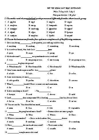 Đề thi khảo sát học sinh giỏi môn Tiếng anh Lớp 6