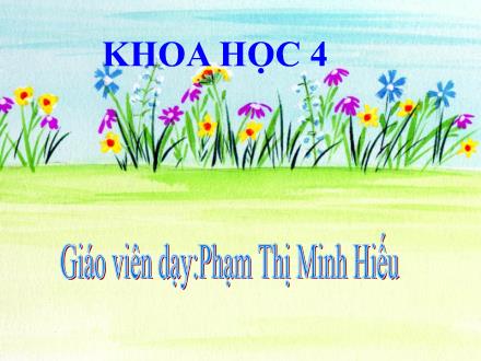 Bài giảng Khoa học Lớp 4 - Tiết 13: Phòng bệnh béo phì - Phạm Thị Minh Hiếu