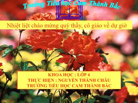 Bài giảng Khoa học Lớp 4 - Tiết 15: Bạn cảm thấy thế nào khi bị bệnh - Nguyễn Thành Châu