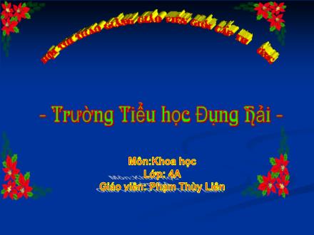 Bài giảng Khoa học Lớp 4 - Tiết 38: Gió nhẹ, gió mạnh. Phòng chống bão - Phạm Thùy Liên