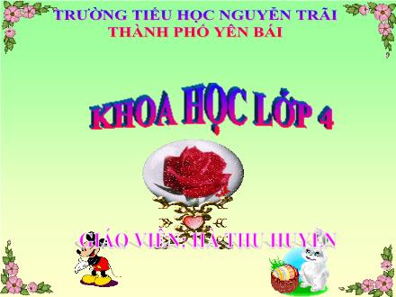 Bài giảng Khoa học Lớp 4 - Tiết 60: Nhu cầu không khí của thực vật - Hà Thu Huyền