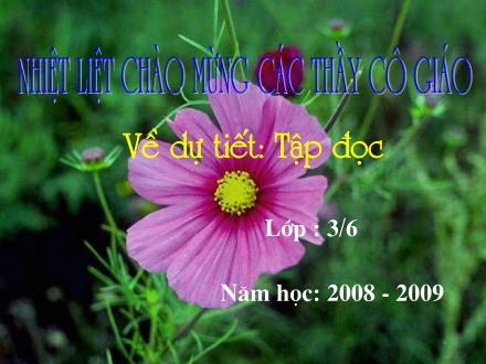 Bài giảng Tập đọc Lớp 3 - Tiết 12: Mẹ vắng nhà ngày bão