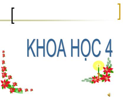 Bài giảng Khoa học Khối 4 - Bài 16: Ăn uống khi bị bệnh