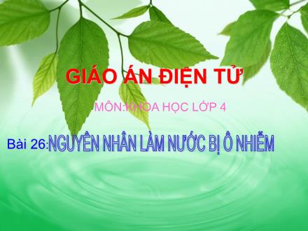 Bài giảng Khoa học Khối 4 - Bài 26: Nguyên nhân làm nước bị ô nhiễm