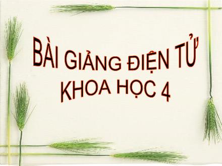 Bài giảng Khoa học Lớp 4 - Bài 24: Nước cần cho sự sống