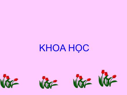 Bài giảng Khoa học Lớp 4 - Bài 40: Bảo vệ bầu không khí trong sạch