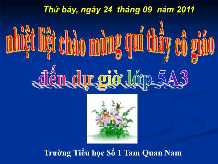 Bài giảng Toán Lớp 5 - Bài 27: Héc-ta - Trường Tiểu học Số 1 Tam Quan Nam