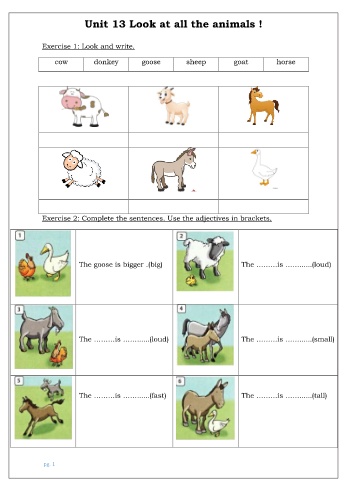 Bài tập ôn hè môn Tiếng Anh Lớp 2 - Unit 13: Look at all the animals!