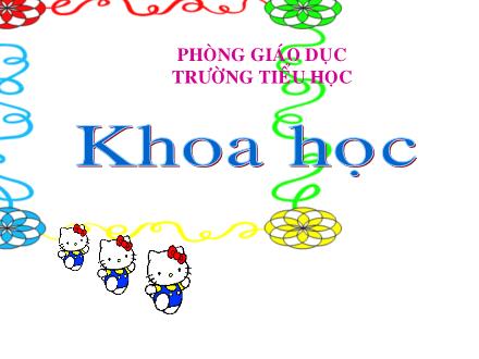 Bài giảng Khoa học Lớp 4 - Ôn tập Con người và sức khỏe