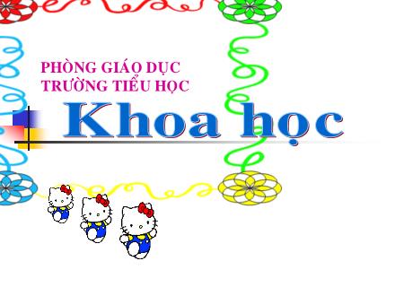 Bài giảng Khoa học Lớp 4 - Tre, mây, song