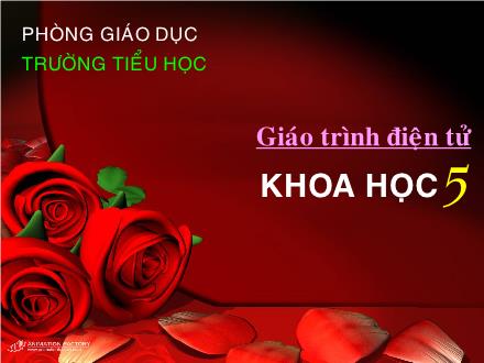 Bài giảng Khoa học Lớp 5 - Tuần 12: Đồng và hợp kim của đồng