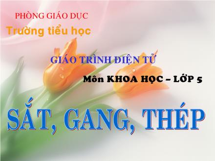 Bài giảng Khoa học Lớp 5 - Tuần 12: Sắt, gang, thép