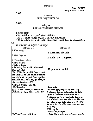 Giáo án Lớp 3 (VNEN) - Tuần 20 (Bản 2 cột)
