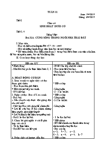 Giáo án Lớp 3 (VNEN) - Tuần 31 (Bản 2 cột)