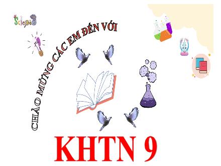 Bài giảng KHTN 9 Sách Chân trời sáng tạo - Bài 35: Khái quát về di truyền học