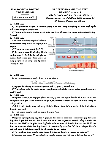 Đề tuyển sinh Lớp 10 môn Sinh học - Năm học 2023-2024 - SGD Ninh Bình (Có đáp án + Ma trận)