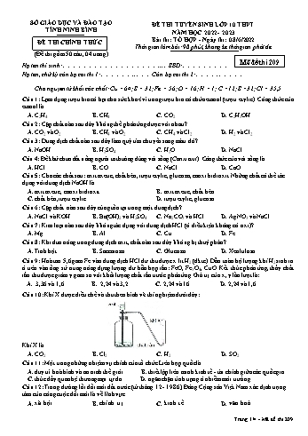 Đề tuyển sinh Lớp 10 Tổ hợp môn (Mã đề 209) - Năm học 2022-2023 - Sở GD&ĐT Ninh Bình