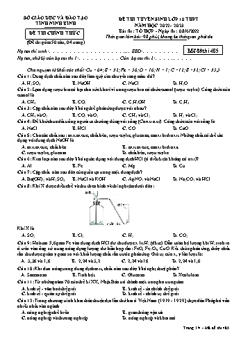 Đề tuyển sinh Lớp 10 Tổ hợp môn (Mã đề 485) - Năm học 2022-2023 - Sở GD&ĐT Ninh Bình