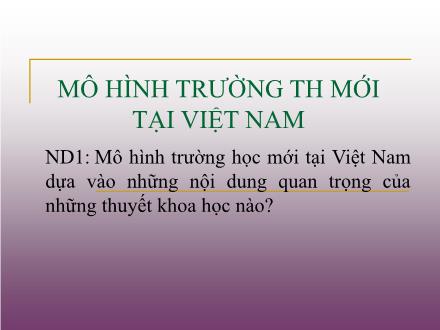 Mô hình trường tiểu học mới tại Việt Nam