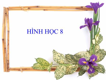 Bài giảng môn Toán học Lớp 8 - Tiết 9: Đối xứng trục