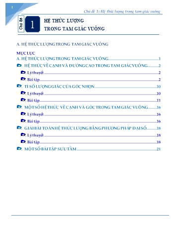 Chuyên đề Toán học Lớp 9 - Chủ đề 1: Hệ thức lượng trong tam giác vuông