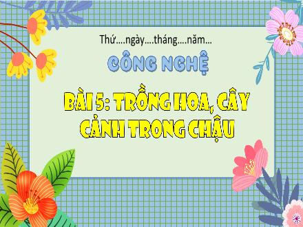 Bài giảng Công nghệ lớp 4 (Kết nối tri thức) - Phần 1: Công nghệ và đời sống - Bài 5: Trồng hoa, cây cảnh trong chậu