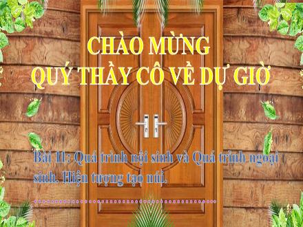 Bài giảng Địa lí Lớp 6 (Kết nối tri thức) - Chương 3: Cấu tạo của trái đất. Vỏ trái đất - Bài 11: Quá trình nội sinh và Quá trình ngoại sinh. Hiện tượng tạo núi