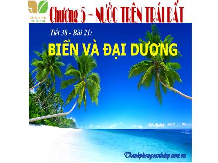 Bài giảng Địa lí Lớp 6 (Kết nối tri thức) - Chương 5: Nước trên trái đất - Bài 21: Biển và đại dương