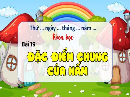 Bài giảng Khoa học Lớp 4 (Kết nối tri thức) - Chủ đề 4: Nấm - Bài 19: Đặc điểm chung của nấm