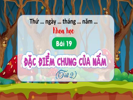 Bài giảng Khoa học Lớp 4 (Kết nối tri thức) - Chủ đề 4: Nấm - Bài 19: Đặc điểm chung của nấm (Tiết 2)