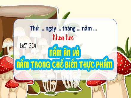Bài giảng Khoa học Lớp 4 (Kết nối tri thức) - Chủ đề 4: Nấm - Bài 20: Nấm ăn và nấm trong chế biến thực phẩm