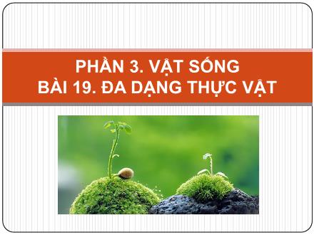 Bài giảng Khoa học tự nhiên Lớp 6 (Cánh diều) - Phần 3: Vật sống - Bài 19: Đa dạng thực vật