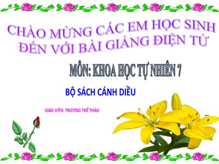 Bài giảng Khoa học tự nhiên Lớp 7 (Cánh diều) - Chủ đề 8: Trao đổi chất và chuyển hóa lượng ở sinh vật - Bài 24: Vai trò của nước và các chất dinh dưỡng đối với cơ thể sinh vật - Trương Thế Thảo