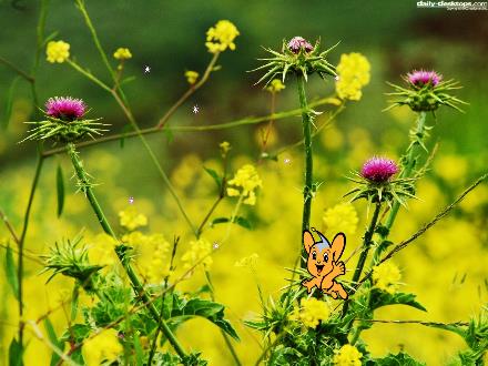 Bài giảng Lịch sử Lớp 6 (Kết nối tri thức) - Chương 5: Việt Nam từ khoảng thế kỉ VII trước công nguyên - Bài 18: Bước ngoặt lịch sử đầu thế kỉ X