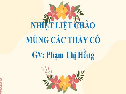 Bài giảng Ngữ văn Lớp 9 (Cánh diều) - Đọc hiểu văn bản Quê hương - Phạm Thị Hồng