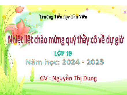 Bài giảng Tiếng Việt Lớp 1 (Kết nối tri thức) - Bài 27: V v X x - Năm học 2024-2025 - Nguyễn Thị Dung