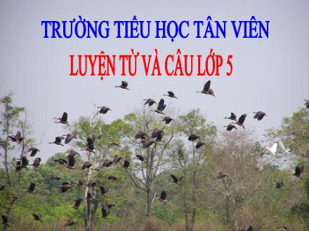 Bài giảng Tiếng Việt Lớp 5 - Tuần 13: Mở rộng vốn từ Bảo vệ môi trường - Trường Tiểu học Tân Viên